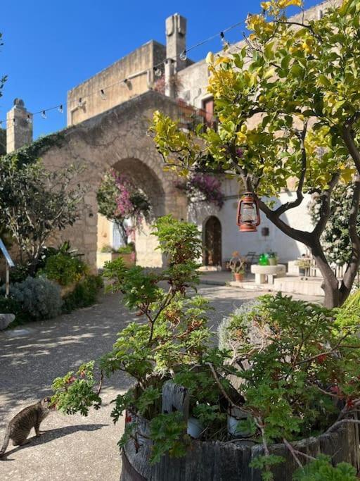 Monte SantʼAngelo Casa Masseria Dell'800 Gargano. Le Mignole מראה חיצוני תמונה